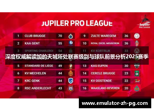 深度权威解读加的夫城所处联赛级别与球队前景分析2025赛季