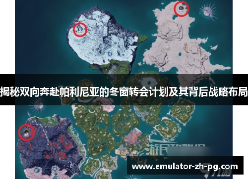 揭秘双向奔赴帕利尼亚的冬窗转会计划及其背后战略布局