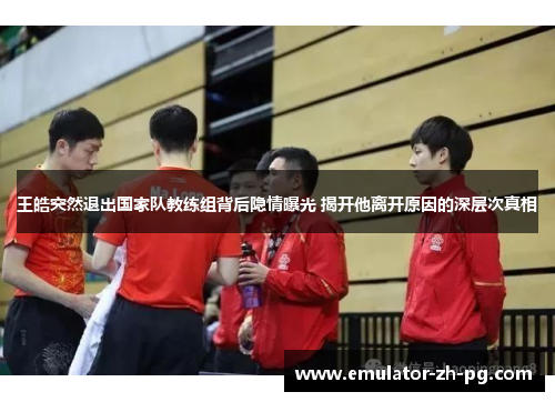 王皓突然退出国家队教练组背后隐情曝光 揭开他离开原因的深层次真相