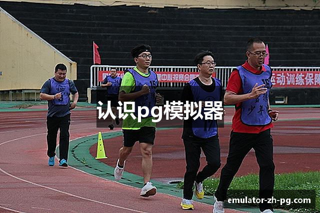 认识pg模拟器
